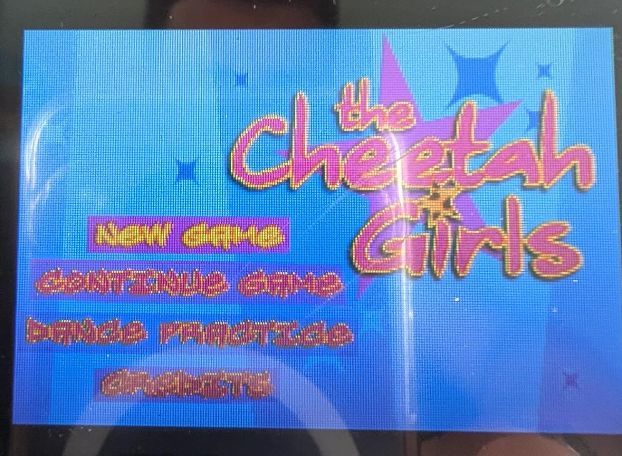 The Cheetah Girls – photo 6